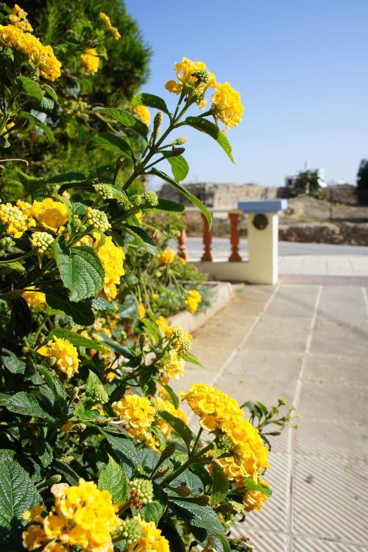 Senses Blue Boutique Hotel Limenas Chersonisou Exterior foto